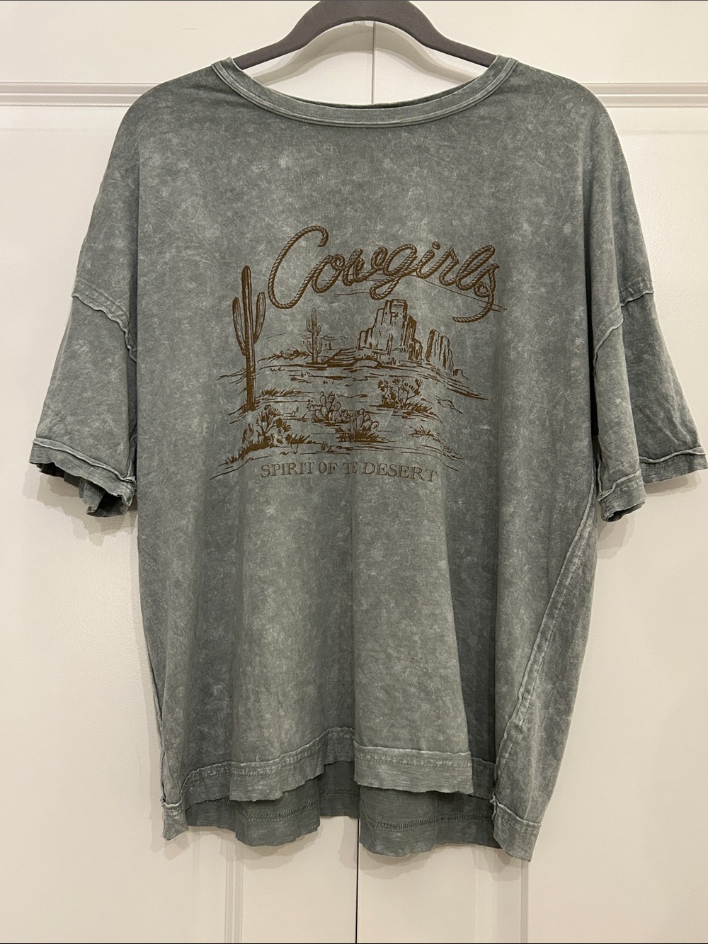 J.O.A. Cowgirls Spirit of the Desert Graphic Tee - Washed Gray Green